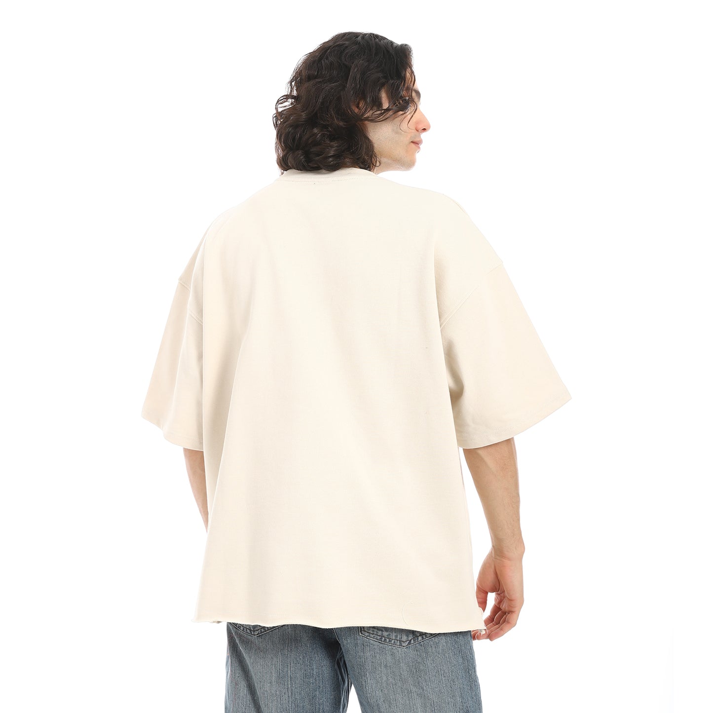 Oversized T-shirt, round neck, on the eagle, Orly
