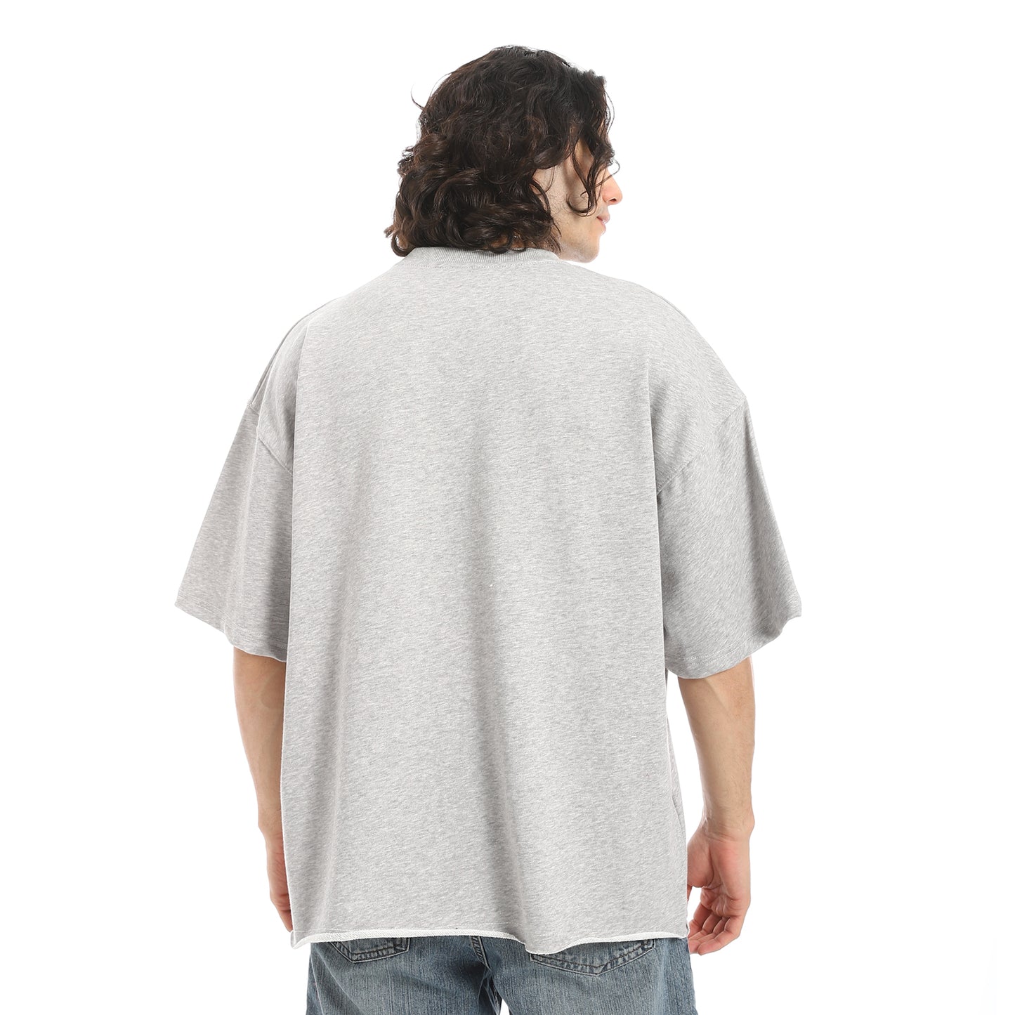 Oversized T-shirt, round neck, on the eagle, Orly