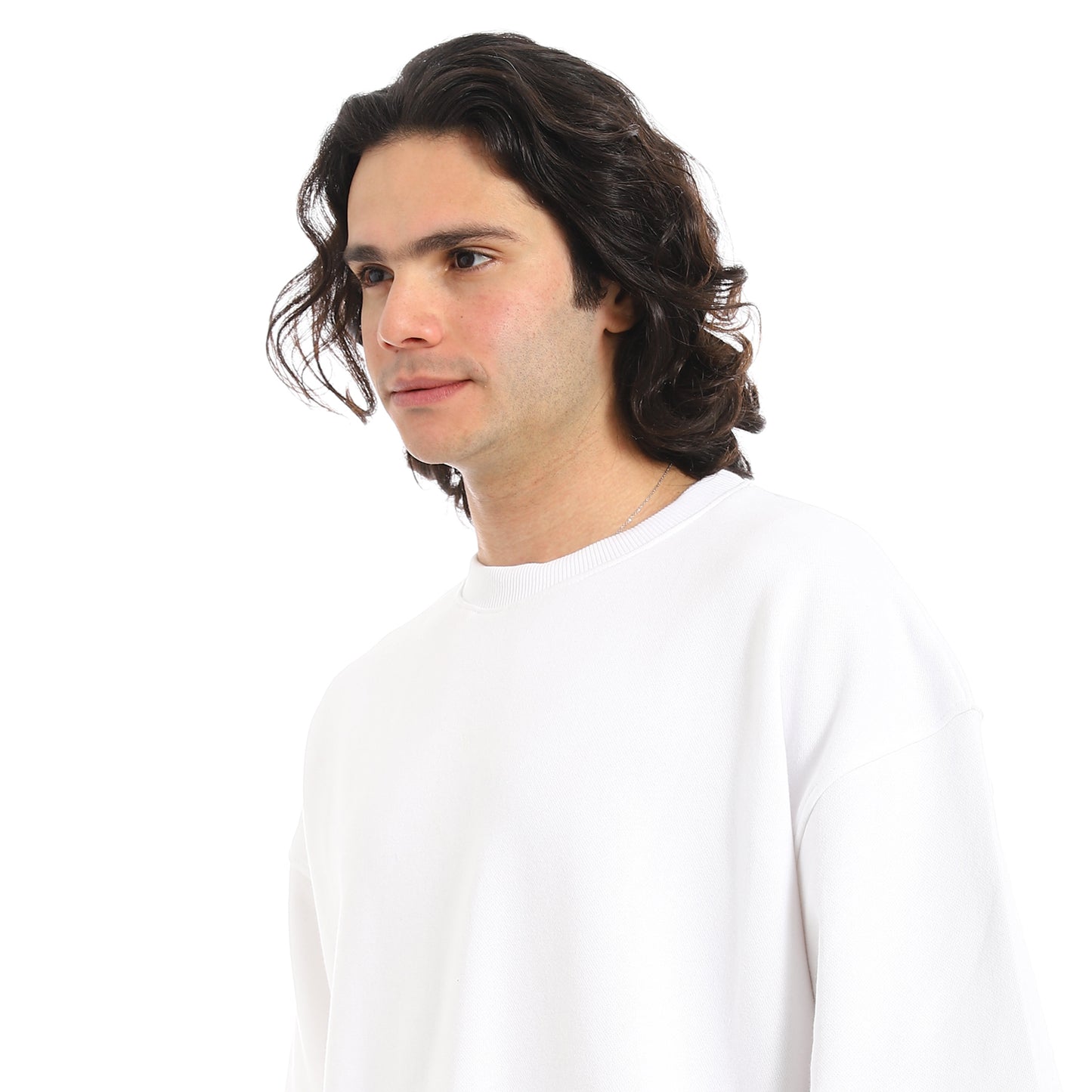 Oversized T-shirt, round neck, on the eagle, Orly