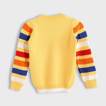 Pullover Pocket Pocket in the Chest