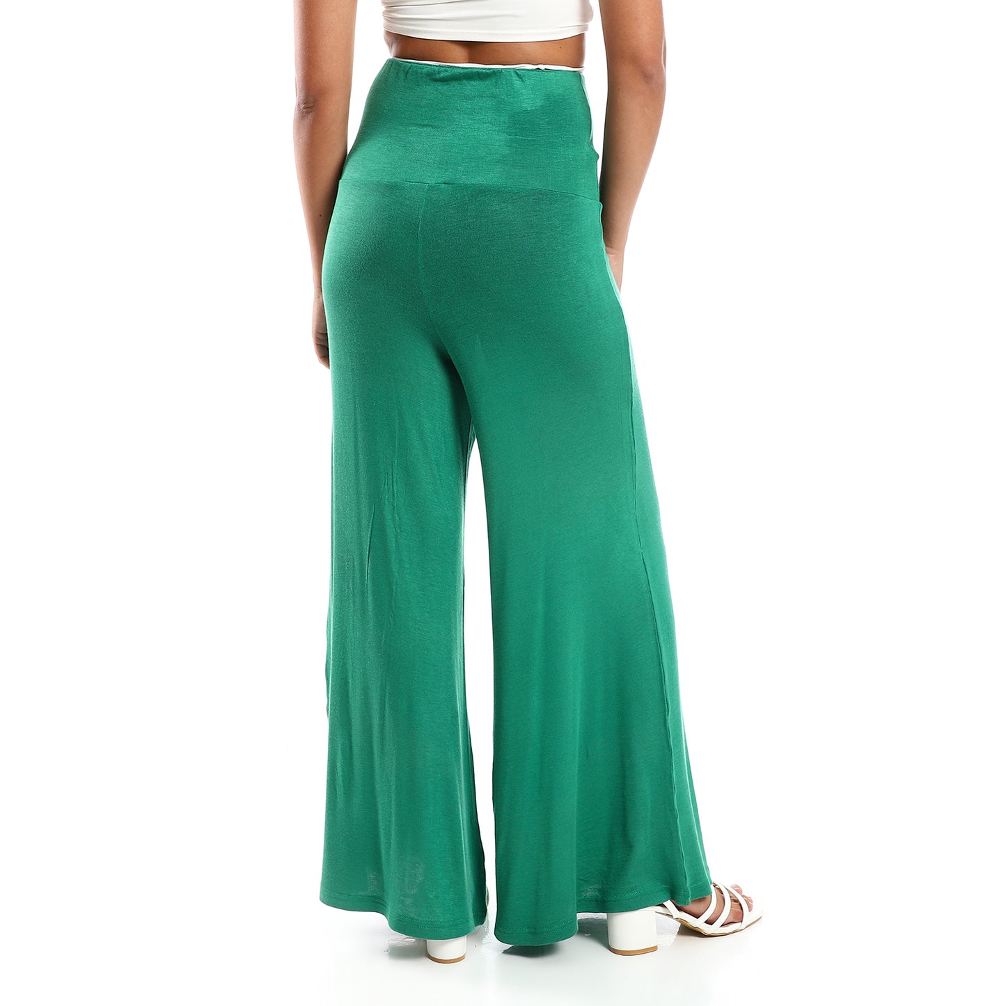 Jamila Women Solid Pattern Flare Fit Pants