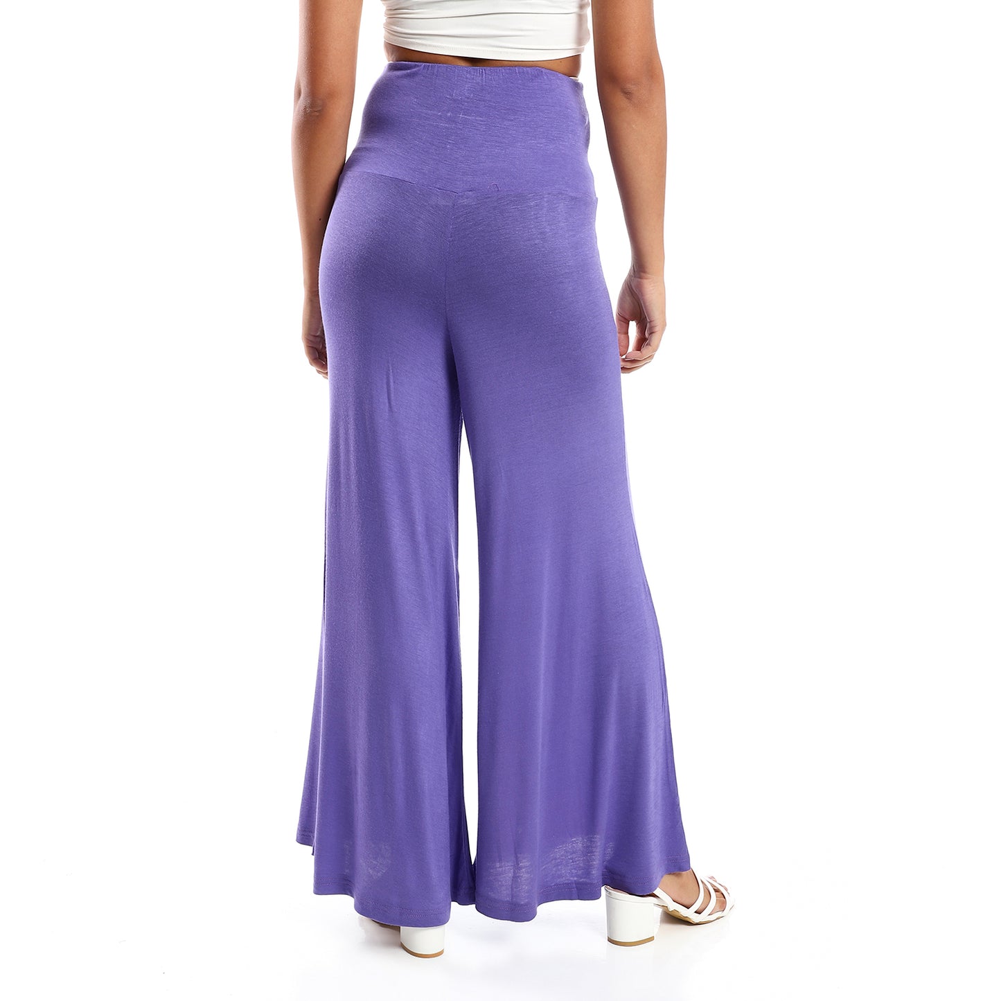 Jamila Women Solid Pattern Flare Fit Pants