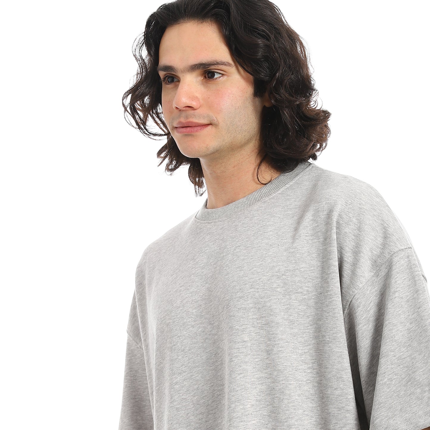 Oversized T-shirt, round neck, on the eagle, Orly